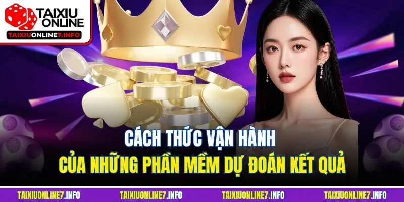 Cách thức vận hành của những phần mềm dự đoán kết quả